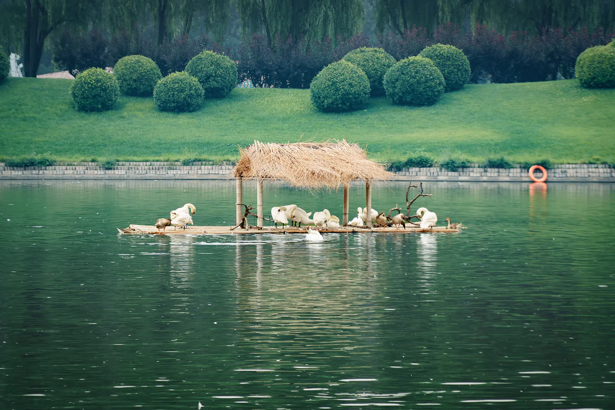 风光摄影作品 DSC01637